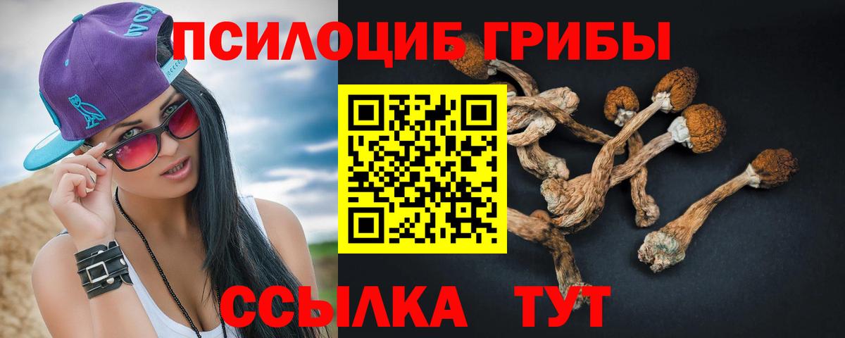 Люберцы  Псилоцибиновые грибы Magic Shrooms  Вход с VPN 